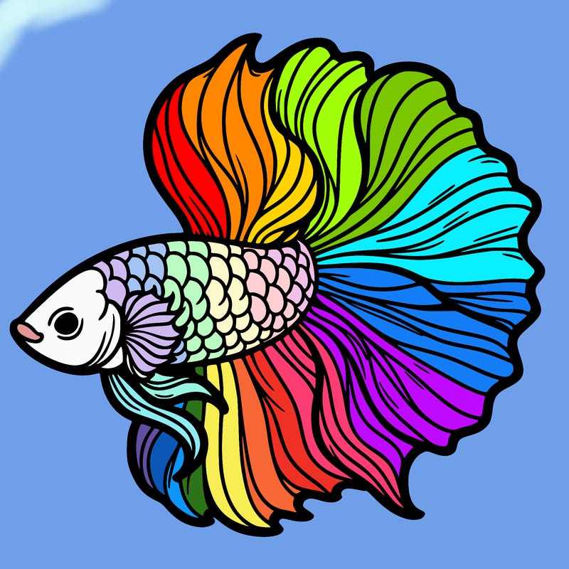 betta fish