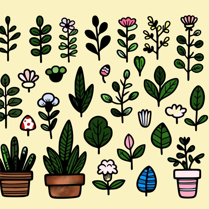plants