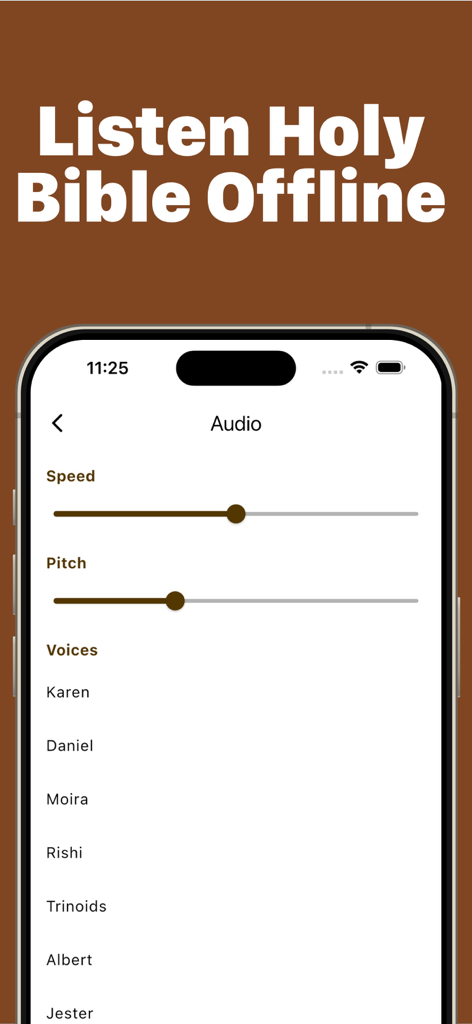 Interfaz que muestra la personalización de audio para escuchar la Santa Biblia sin conexión en la aplicación Heaven