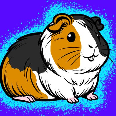 guinea pig