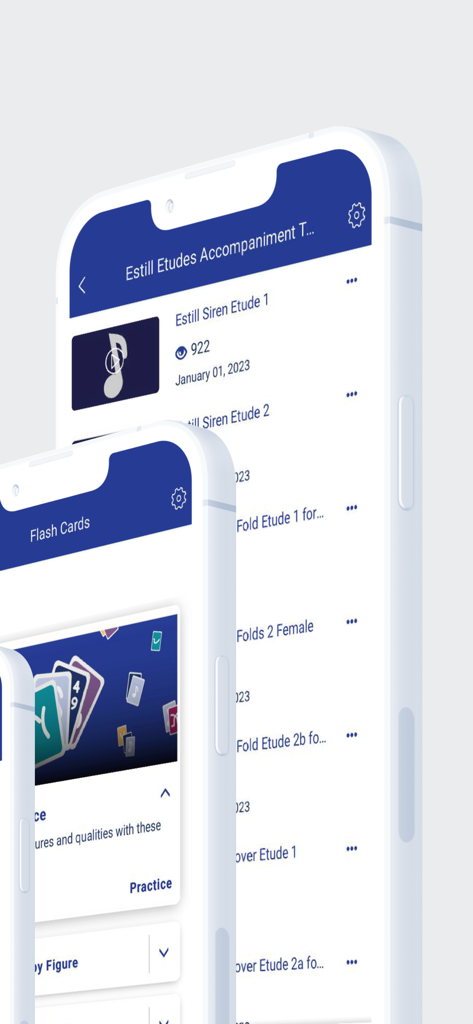 Estill Exercises - Screenshot of the Estill Exercises app featuring vocal etudes accompaniment and flash cards for voice training