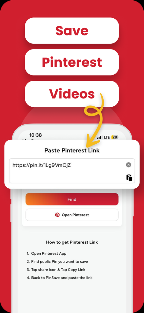 Interface of PinSaver app showing how to paste a Pinterest link to save videos