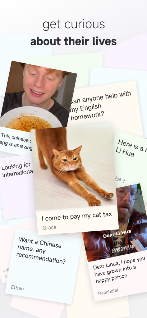 Un collage de publications d'utilisateurs sur l'application Rednote présentant du contenu lifestyle, des animaux de compagnie et des échanges culturels.