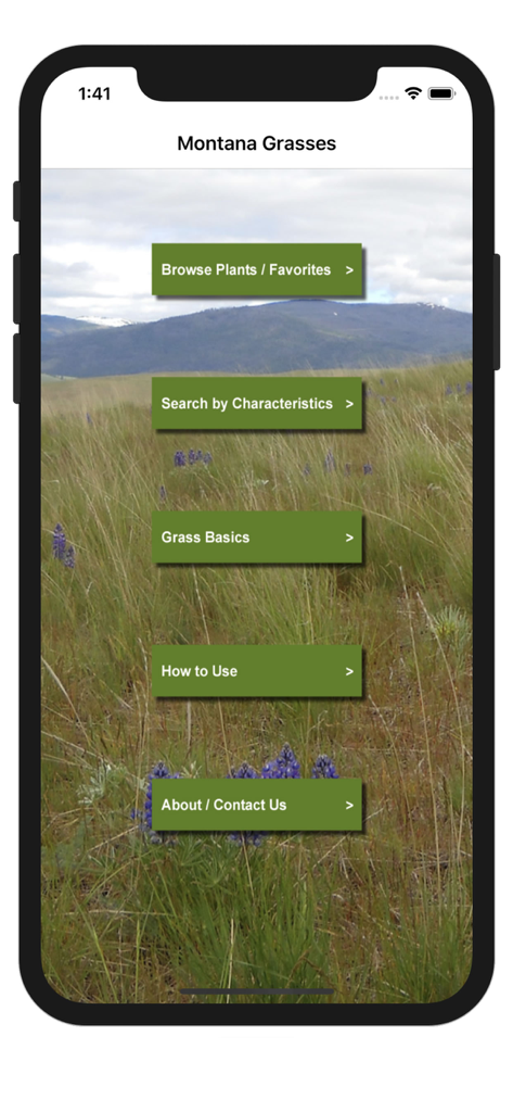 Montana Grasses - Main menu of the Montana Grasses app featuring options to browse plants and search by characteristics over a scenic mountain field background.
