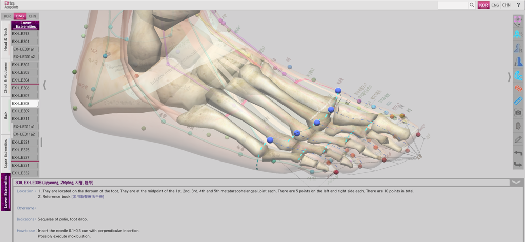 Extra Acupoints - 3D foot anatomy model with acupuncture points in Extra Acupoints app