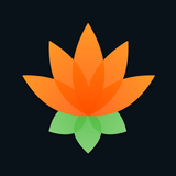 Lotus Chess – Trainer