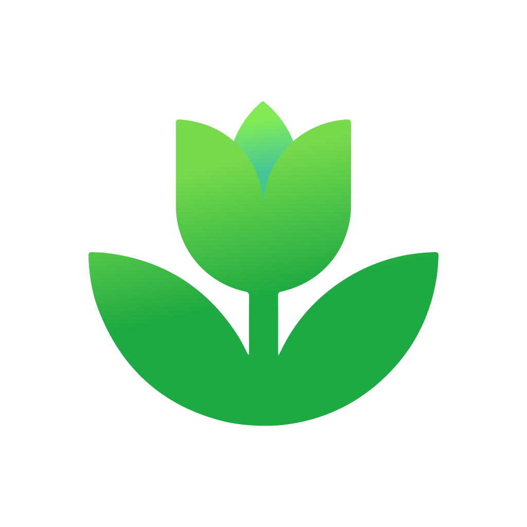PlantApp  Pflanzenbestimmung - Bildung-App | MWM