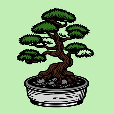 japan bonsai