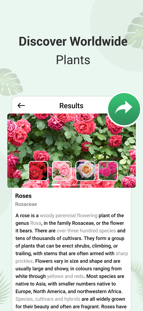 Plant Identifier and info | Your AI Pocket Botanist & Care Guide