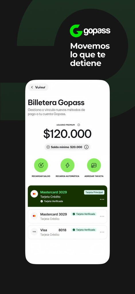 Gopass - Digital wallet interface of the Gopass app displaying account balance and linked credit cards for mobility services