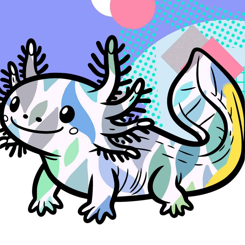 axolotl