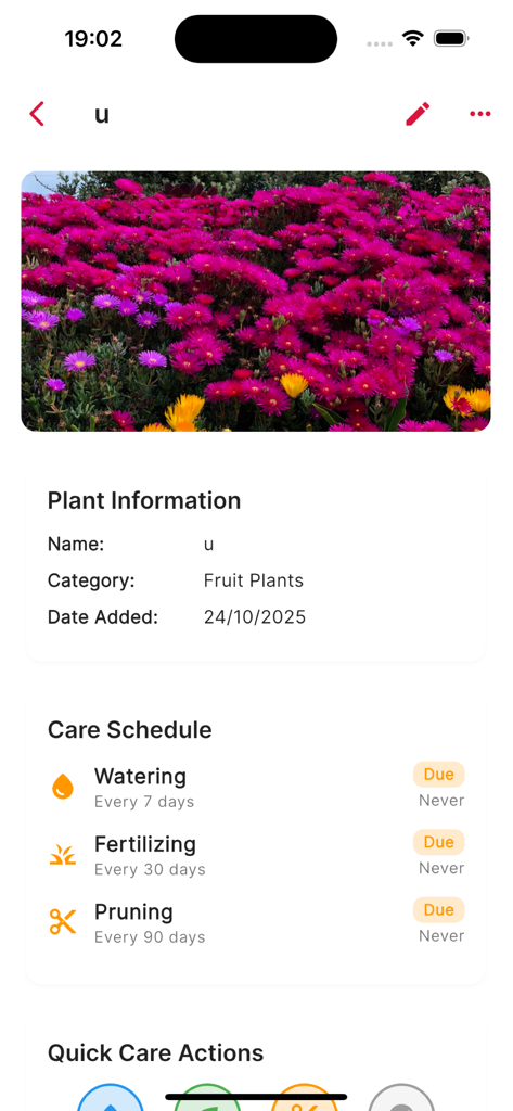Comp Study: Gardening Life - Pantalla de la aplicación Comp Study Gardening Life que muestra el perfil de una planta con recordatorios de cuidado para riego y fertilización