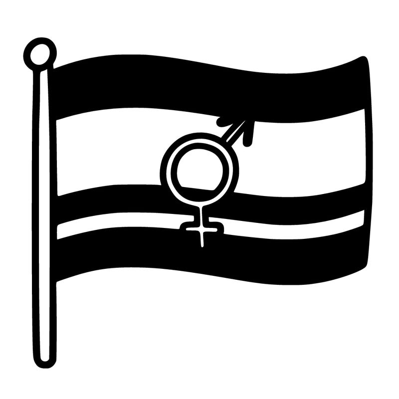 bisexual flag