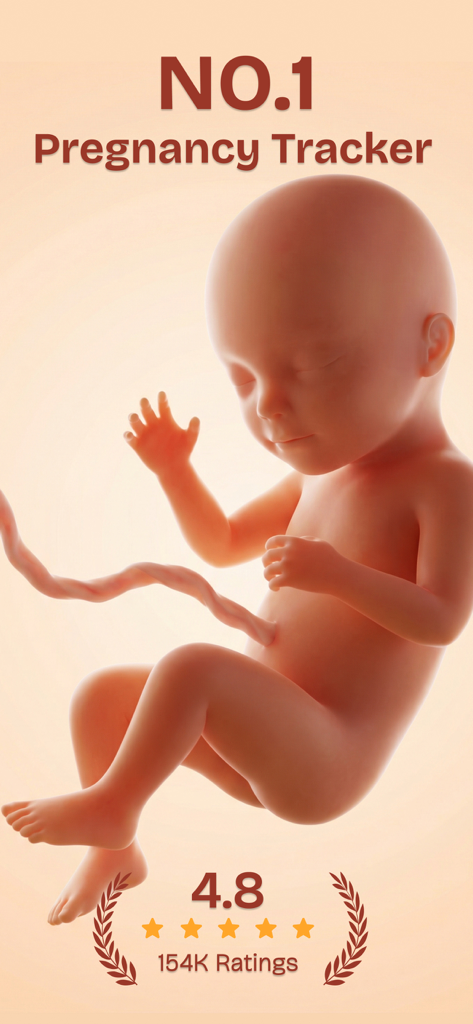 Realistic 3D baby visualization on the Wombly pregnancy tracker app with a 4.8 star rating
