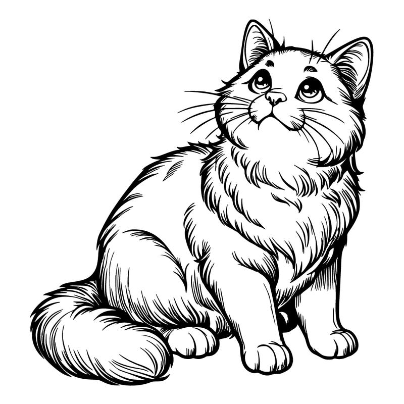 realistic cat looking up