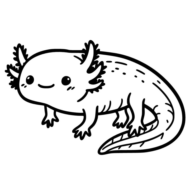 axolotl
