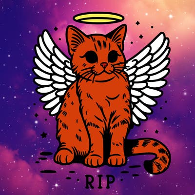 rip cat realistic cat with angel wings