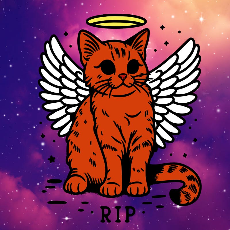 rip cat realistic cat with angel wings