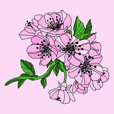 flowers_03