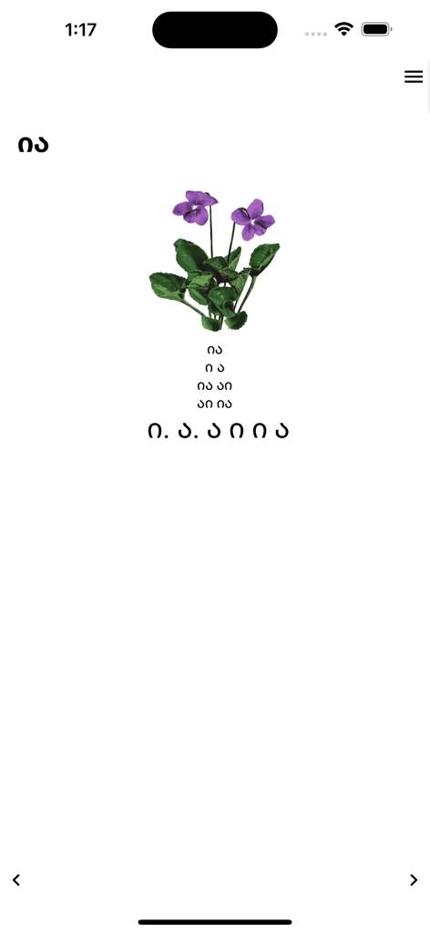 Any Book - Georgian Books - A page from a Georgian ebook featuring a violet flower illustration and Georgian text.