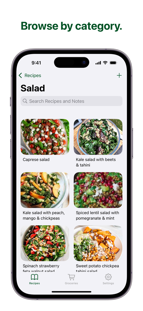 Un elenco di ricette di insalate nell'app Kale Recipe Manager che mostra diversi tipi di insalate con foto.