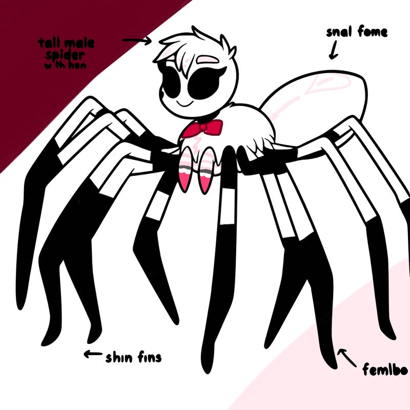 a tall spider male who is thin with white fur and pink spots and is also a striper, and is a femboy