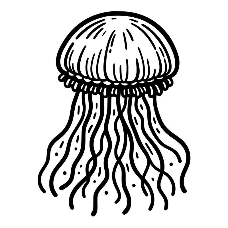 jellyfish outline, simple