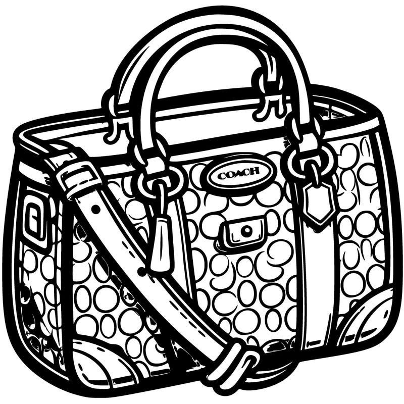 coach bag