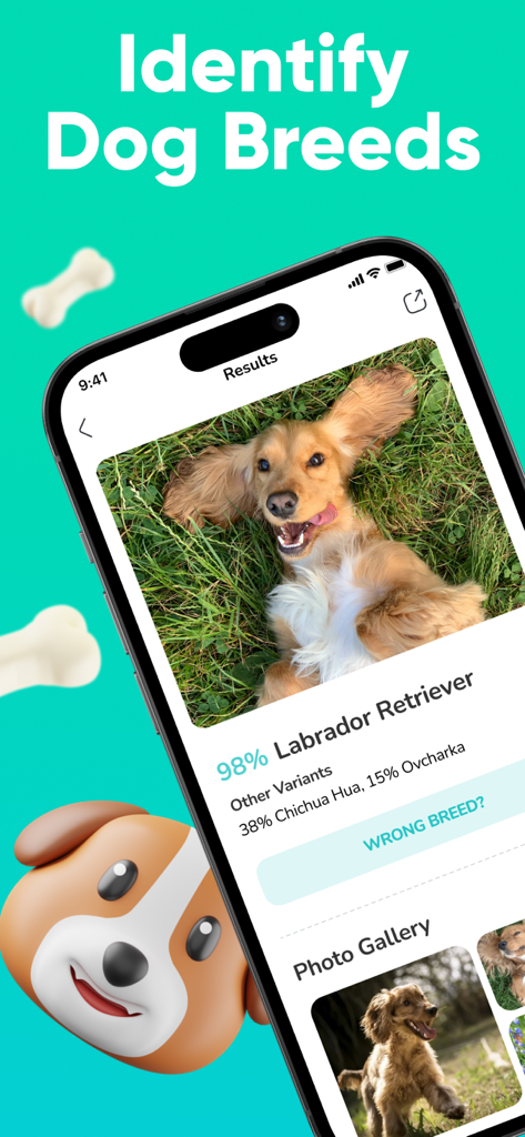 Dog Scanner - Breed Identifier - 도그 스캐너 앱이 래브라도 리트리버의 품종 식별 결과를 표시하고 있습니다