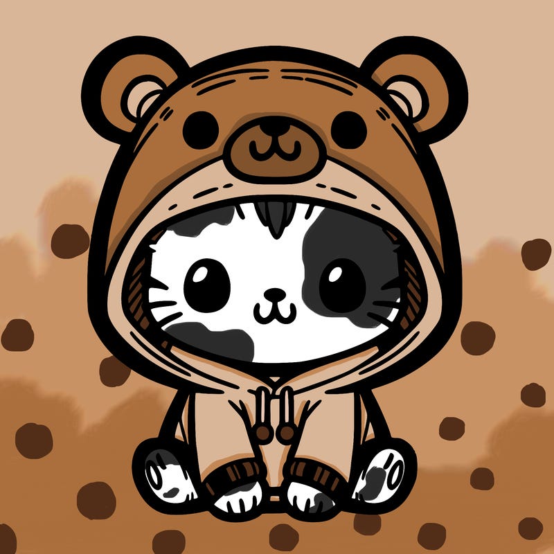 cat with a bear hoodie