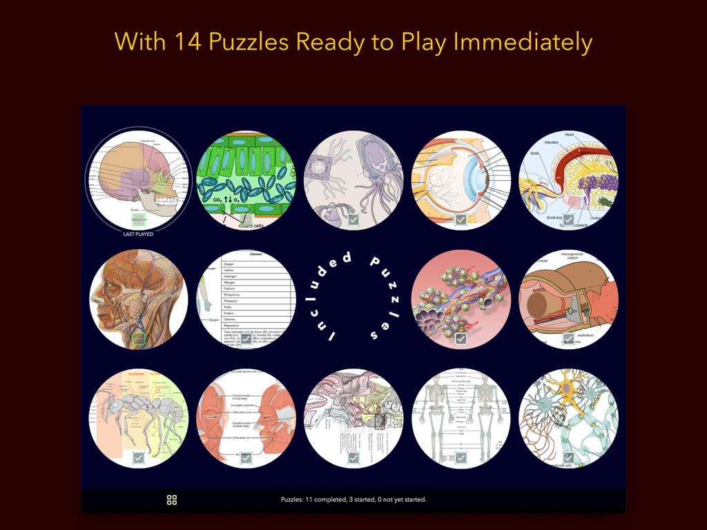 Anatomy Puzzles - Una pantalla de selección para la aplicación Puzzles de Anatomía que muestra catorce miniaturas circulares de diagramas de biología y anatomía humana.