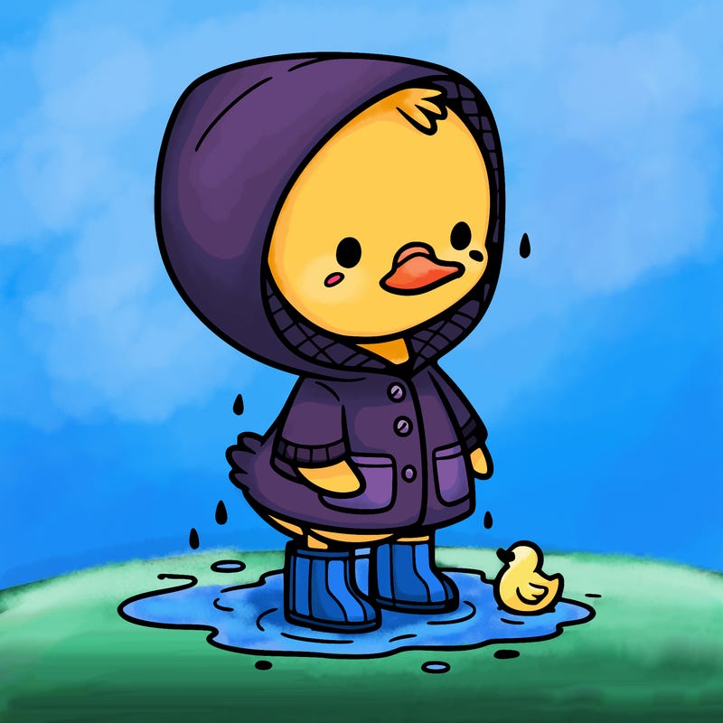 baby duck in a rain coat and boots, in a puddle while it’s raining