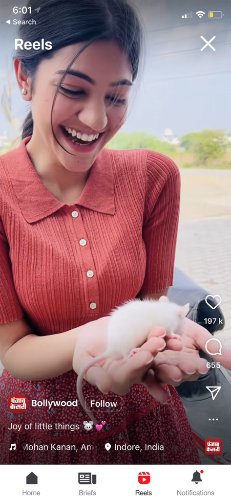 A woman holding a white rat in the Reels video section of the Punjab Kesari mobile app.