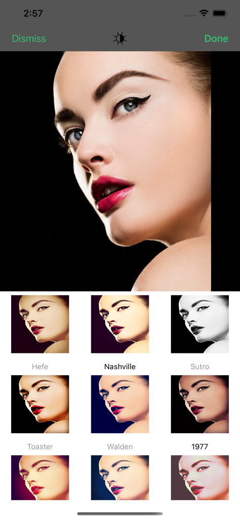 Mobile app screen showing a variety of professional photo filters applied to a portrait image