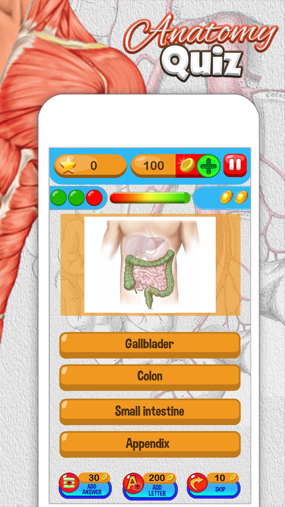 Uma pergunta de múltipla escolha do quiz de anatomia em uma tela de smartphone mostrando o sistema digestivo humano.