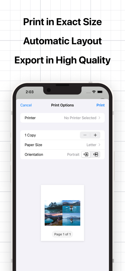 Resize Photos· - 正確なサイズと写真の自動レイアウトのためのプリントオプションが表示されたモバイルアプリ画面。