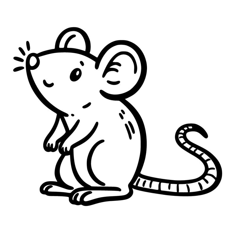 rat