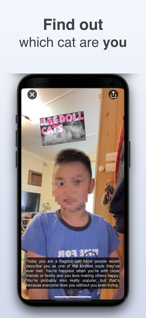 Dog & Cat Translator: Pet Chat - Dog and Cat Translator app showing the which cat breed are you quiz feature result