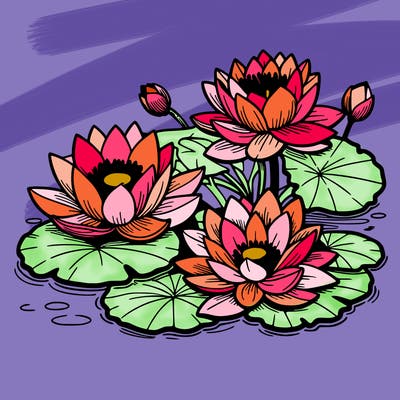 lotus flowers with leaf in a pond in japan