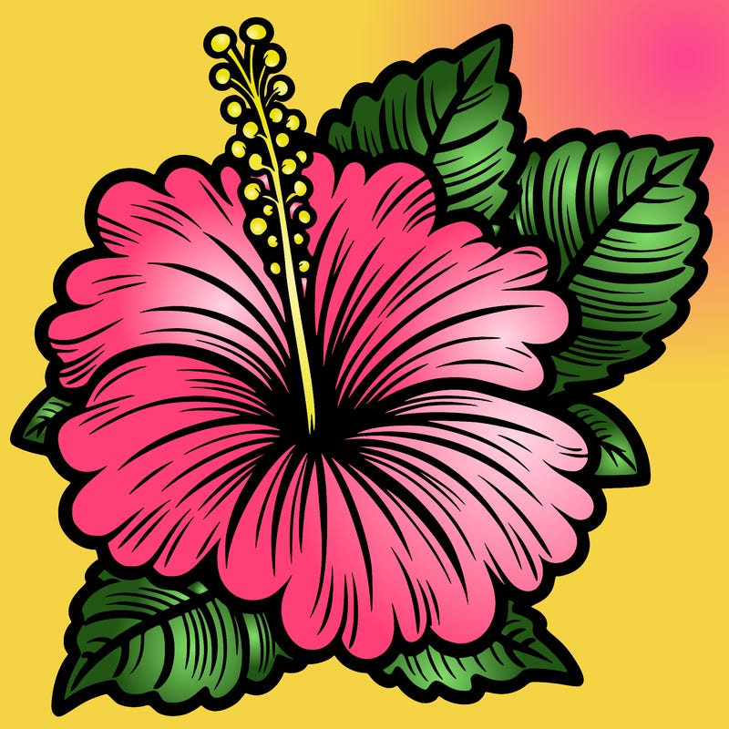 hibiscus flower