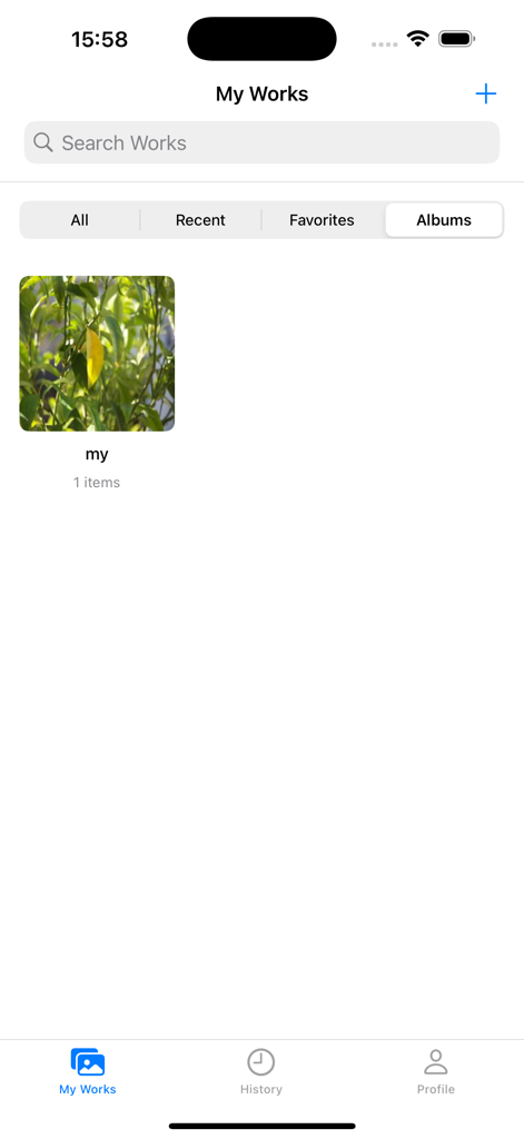 Reticpic app dashboard displaying photo albums and work organization tools