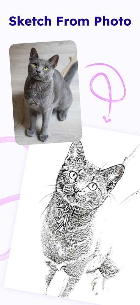 AR Drawing: Trace & Draw Art - Tela de aplicativo móvel mostrando uma foto de gato cinza sendo convertida em um esboço detalhado em linha.