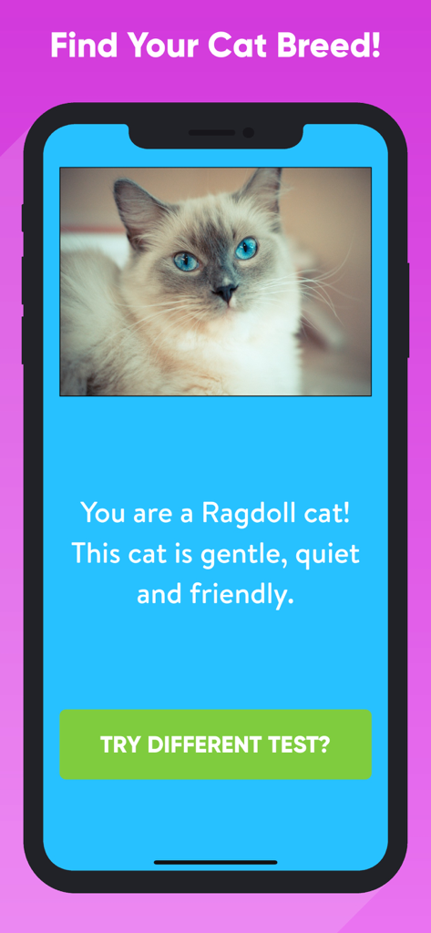 Pantalla de resultados del test de personalidad identificando al usuario como un gato Ragdoll.