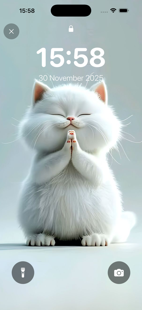 Wallpapers: Live Wallpapers 4K - A cute fluffy white cat in a praying pose on a mobile lock screen