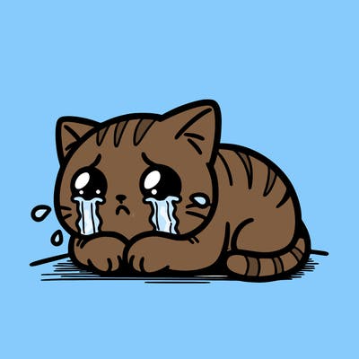 crying cat