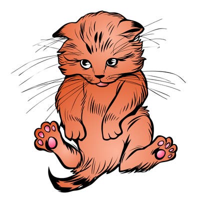 animals_20