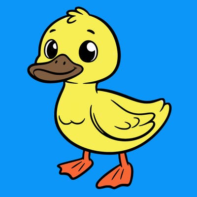 duck