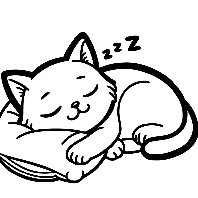 sleeping cat