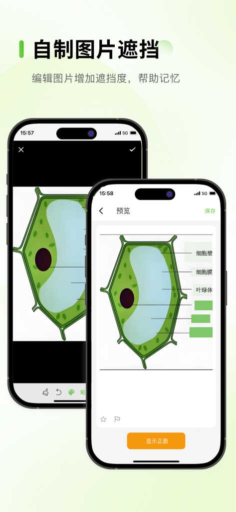 Anymo - 大幅度提升背书效果考试考研背单词 - Schermata dell'iPhone che mostra l'app Anymo mentre utilizza l'occlusione di immagini su un diagramma biologico per lo studio