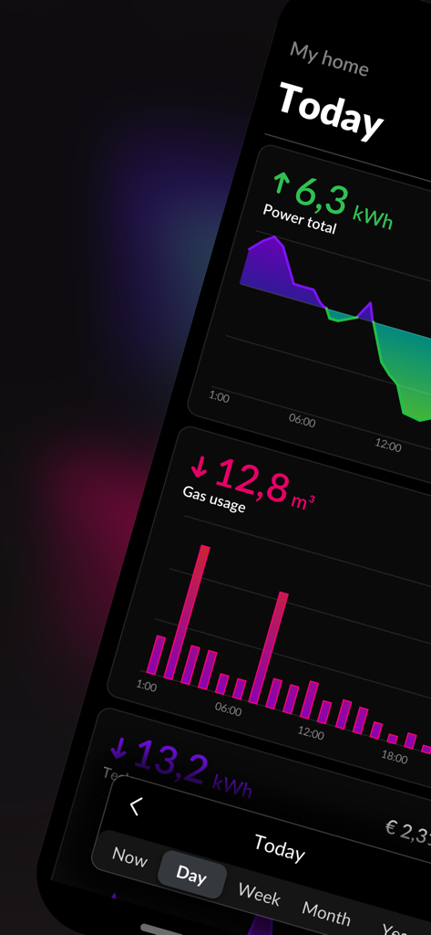 HomeWizard Energy - Tableau de bord de l'application HomeWizard Energy affichant des graphiques de consommation d'électricité et de gaz en temps réel.